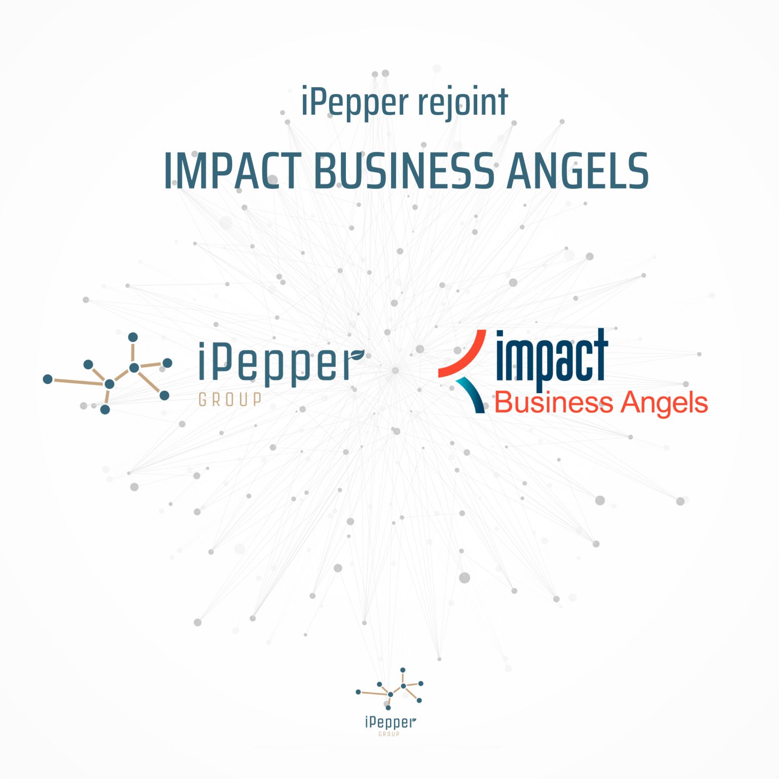 impact business angel